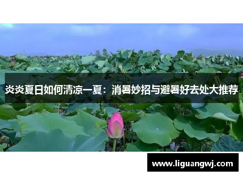 炎炎夏日如何清凉一夏：消暑妙招与避暑好去处大推荐